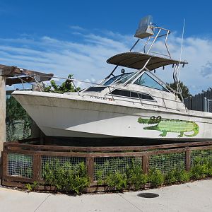 Florida: Mission Everglades - Grounded Boat