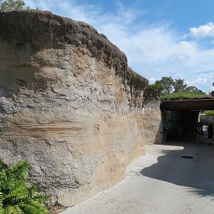 Florida: Mission Everglades - American Crocodile Exhibit - Underwater Viewing Entrance