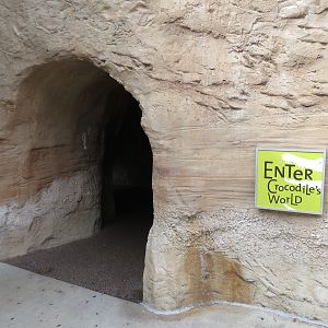 Florida: Mission Everglades - American Crocodile Exhibit