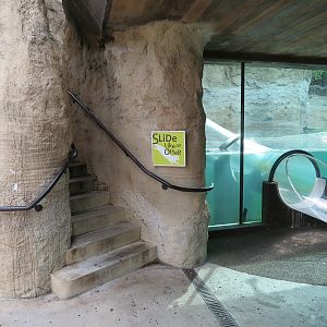 Florida: Mission Everglades - North American River Otter Exhibit