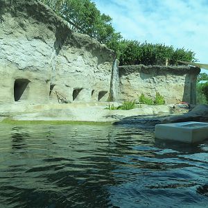 Florida: Mission Everglades - North American River Otter Exhibit