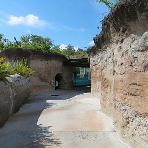 Florida: Mission Everglades - Visitor Path Near River Otter Exhibit