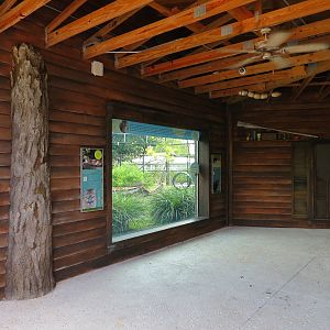 Florida: Mission Everglades - American Black Bear OR Florida Panther Rotational Exhibit 1 - Viewing Shelter