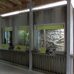 Florida: Mission Everglades - Reptile Exhibits