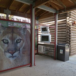 Florida: Mission Everglades - Florida Panther Displays