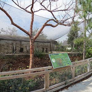 Florida: Mission Everglades - Burrowing Owl, Common Grackle, and Gopher Tortoise Exhibit