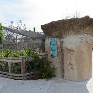 Florida: Mission Everglades - Burrowing Owl, Common Grackle, and Gopher Tortoise Exhibit