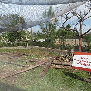 Florida: Mission Everglades - Burrowing Owl, Common Grackle, and Gopher Tortoise Exhibit