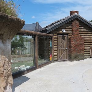 Florida: Mission Everglades - Burrowing Owl, Common Grackle, and Gopher Tortoise Exhibit