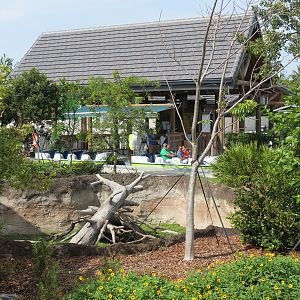 Florida: Mission Everglades - Crested Caracara Exhibit