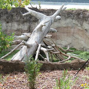 Florida: Mission Everglades - Crested Caracara Exhibit