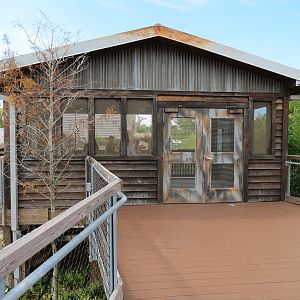 Florida: Mission Everglades - Bald Eagle Exhibit - Viewing Shelter