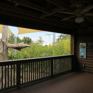 Florida: Mission Everglades - Bald Eagle Exhibit - Viewing Shelter