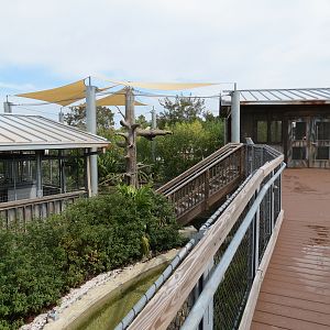 Florida: Mission Everglades - Visitor Boardwalk Near Bald Eagle Exhibit