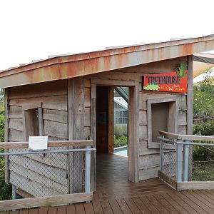 Florida: Mission Everglades - Bobcat OR Gray Fox OR Raccoon Rotational Exhibit 1 - Treehouse Visitor Viewing Shelter