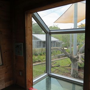 Florida: Mission Everglades - Bobcat OR Gray Fox OR Raccoon Rotational Exhibit 1 - Treehouse Visitor Viewing Shelter