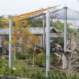 Florida: Mission Everglades - Bobcat OR Gray Fox OR Raccoon Rotational Exhibit 1