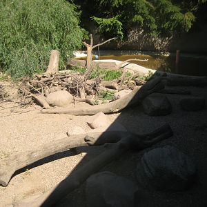Skærup Zoo - Otter exhibit
