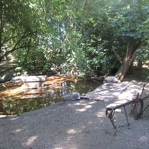 Skærup Zoo - Waterfowl exhibit