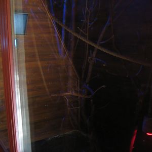 Skærup Zoo - Night exhibit