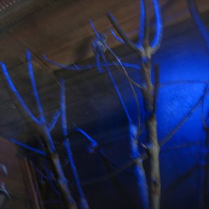 Skærup Zoo - Night exhibit