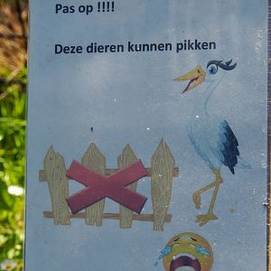 Watch out, these animals can peck sign, 2019-06-01