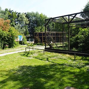 Park view near owl and hawk aviaries, 2019-06-01