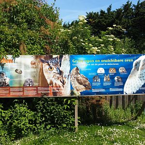 Education signs about owls, 2019-06-01
