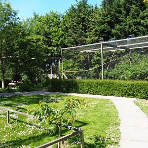 Park view near hawk and owl aviaries, 2019-06-01