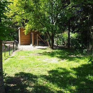 Greater flamingo and Eurasian crane exhibit land area, 2019-06-01