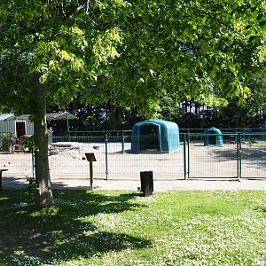 Donkey paddock, 2019-06-01