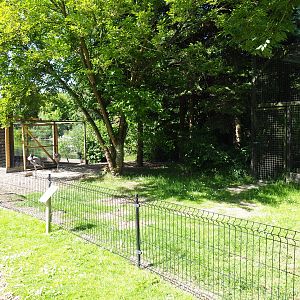 Greater flamingo and Eurasian crane exhibit land area, 2019-06-01
