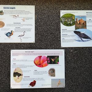 Birds and mammals education signs, 2019-06-01
