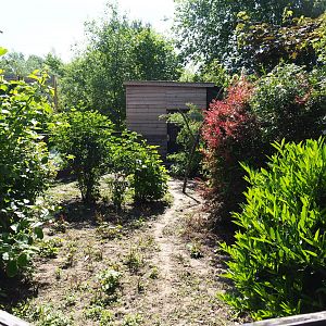 Ring-tailed coati exhibit, 2019-06-01
