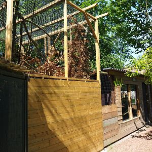 Back side of the Desmarest's hutia exhibit, 2019-06-01