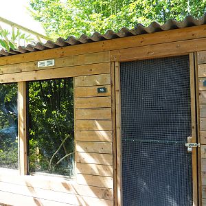 Desmarest's hutia barn, 2019-06-01