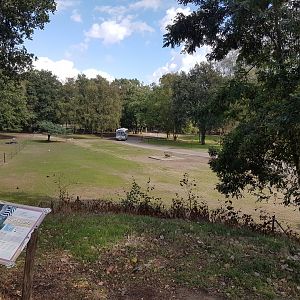 Safari-bus in the African part of the park