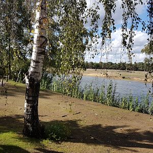 View toward the Asian plain