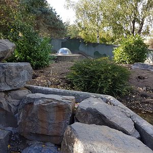 Viewing-cupola Meerkat-enclosure
