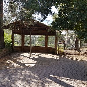 Viewing-shelter Vulture aviary