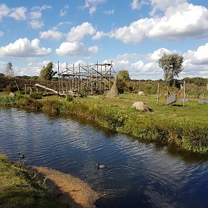 One of the Chimp islands