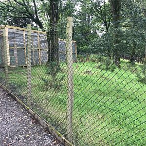 Scottish Wild Cat enclosure