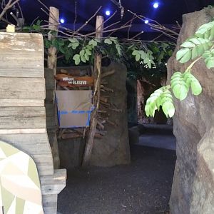 Platypus exhibit