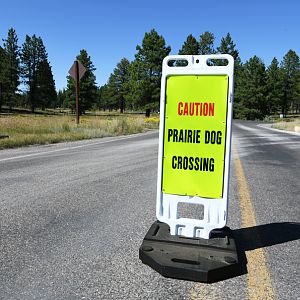 prairie dog road warning sign