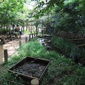 Squirrel walkthrough