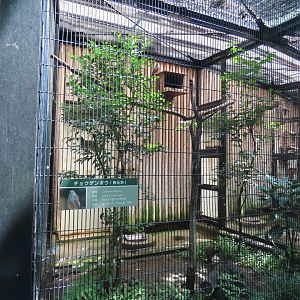Small bird of prey exhibit