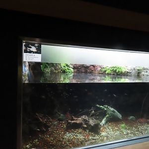 Tank in aquatic life house