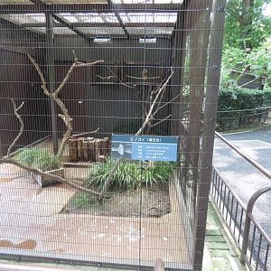 Japanese night heron exhibit
