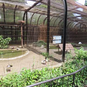 Exhibit for ducks/aquatic birds