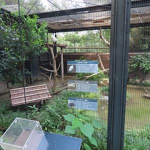 Exhibit for duck/egret